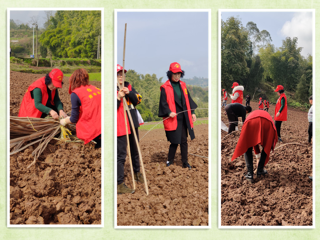 鄉村振興.jpg 鄉村振興.jpg